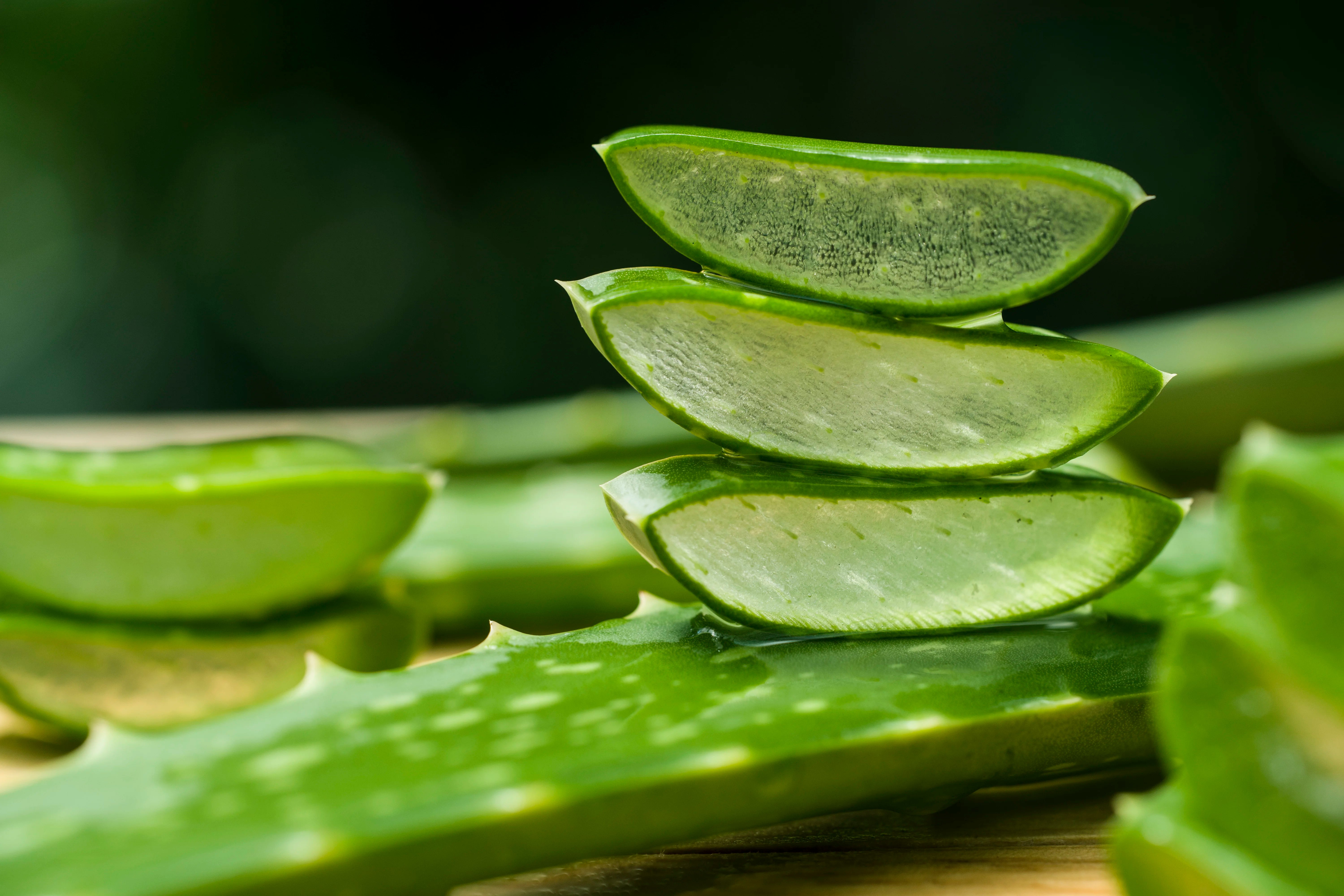 slice sof aloe vera on a dark back drop