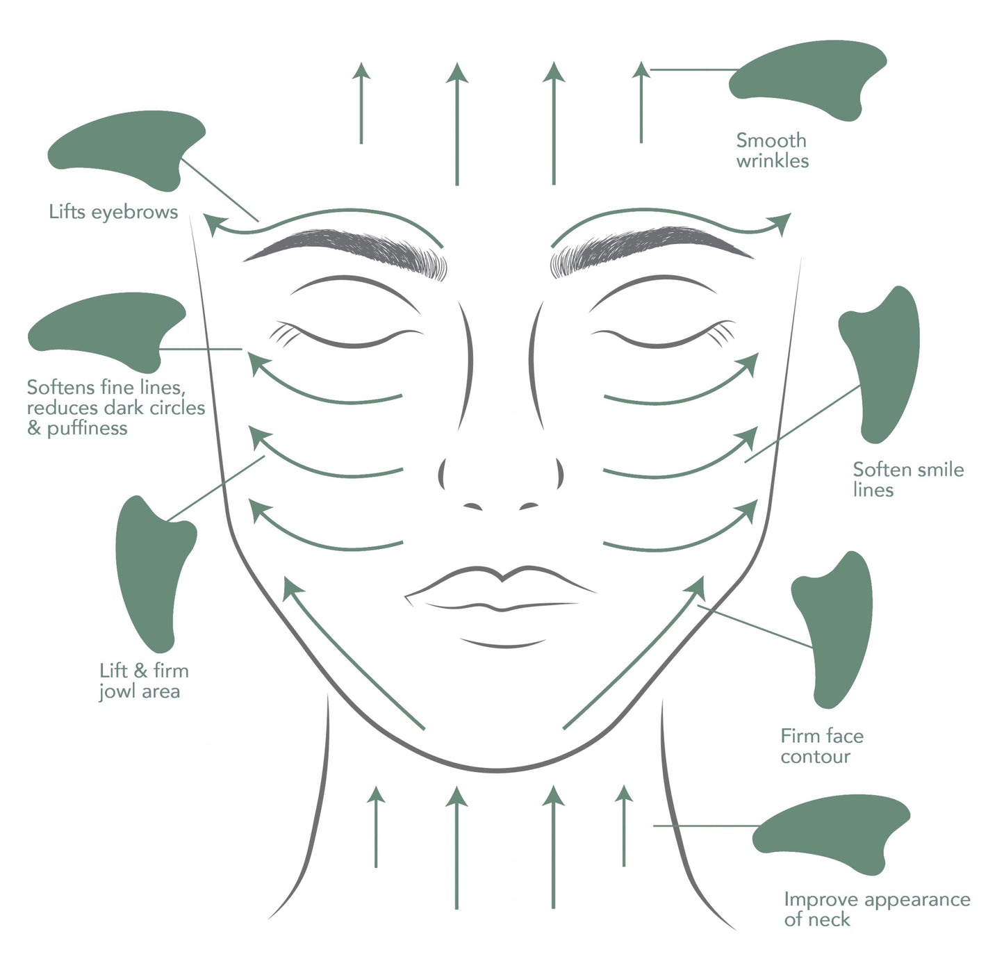 Green Jade Gua Sha - ownlabelskincare