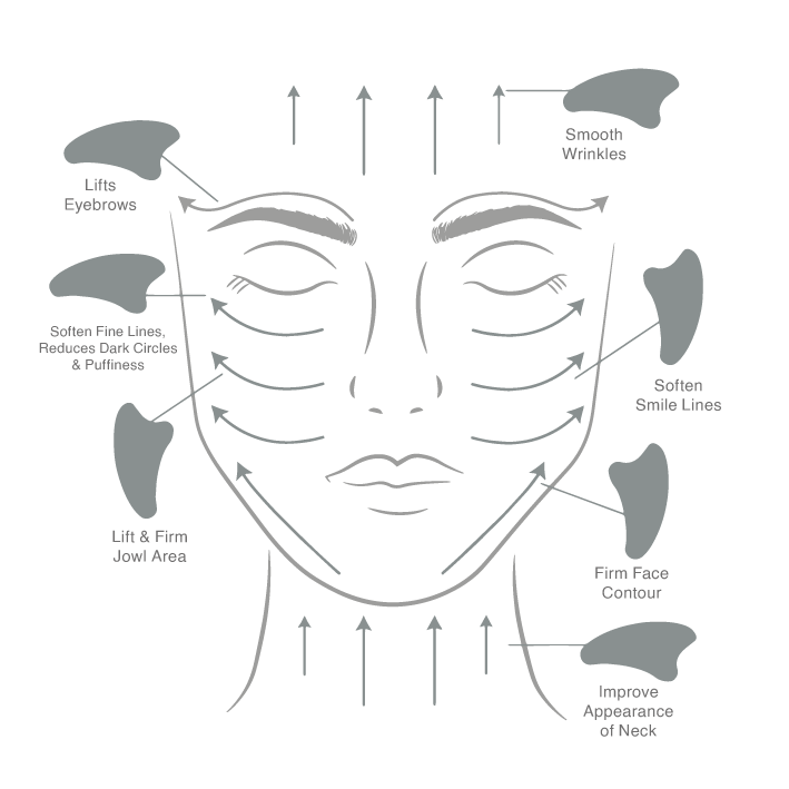 Stainless Steel Gua Sha - ownlabelskincare