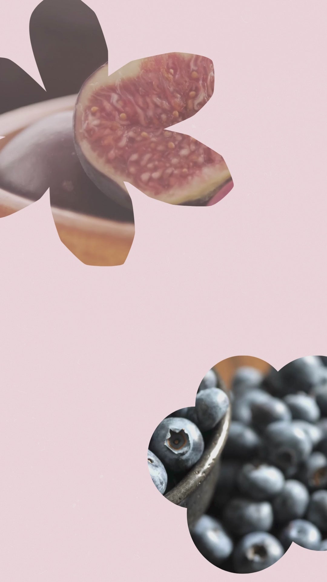 video of Own label conditioner fig and cassis on a white back drop 